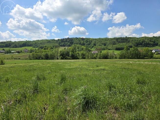 Działka rolno-budowlana Ołpiny gm. Szerzyny