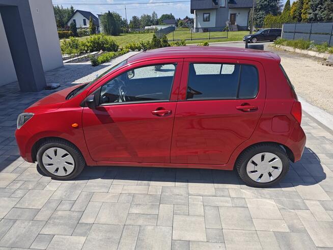 Suzuki celerio