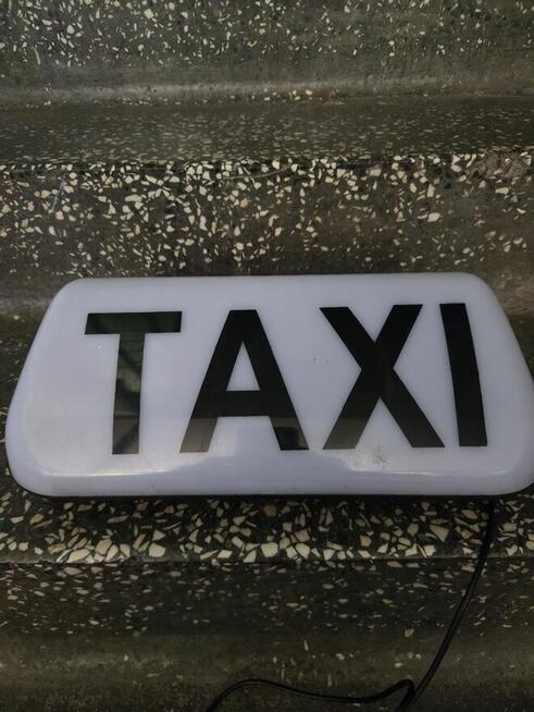 Kogut TAXI