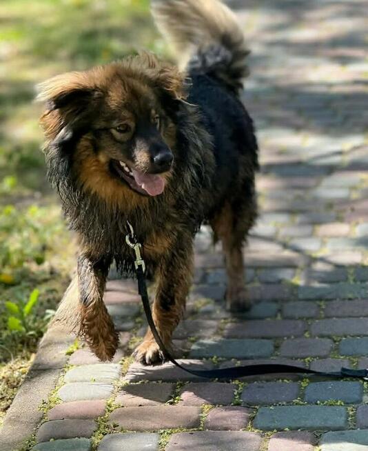 Mulan- mama ok.3 lat i Mushu- syn ok.roku Wioletta Maśl.