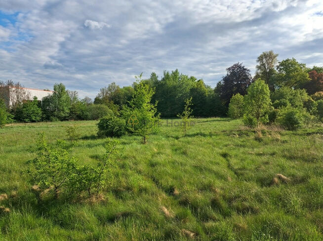 Działka inwestycyjna Wymiarki,