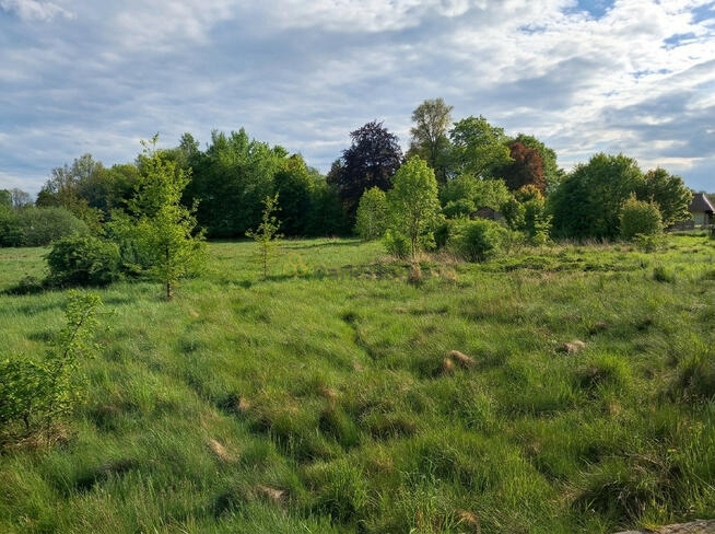 Działka inwestycyjna Wymiarki,