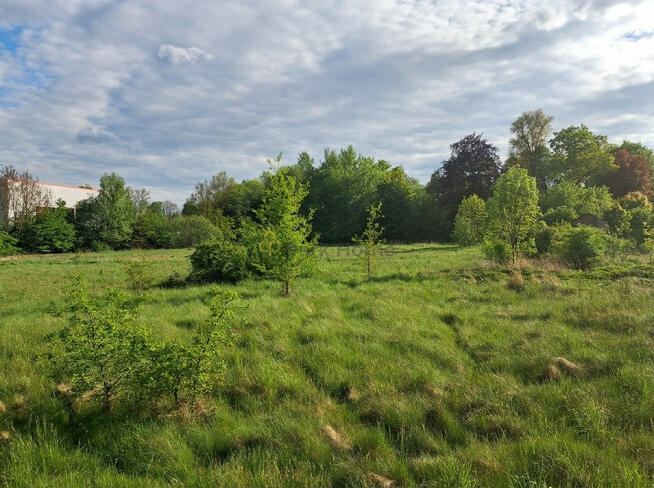 Działka inwestycyjna Wymiarki,