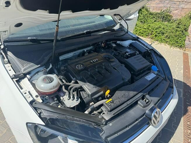 Volkswagen Golf CUP 1.6 TDI 110 2xCLIMATRONIC#Park Assist
