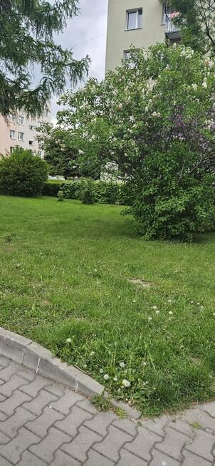 ZAMOSĆ|Wojska Polskiego 2B|OBOK GARNIZONU