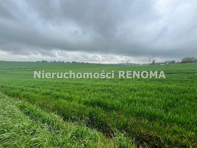 Działka Jastrzębie-Zdrój Borynia, Plebiscytowa