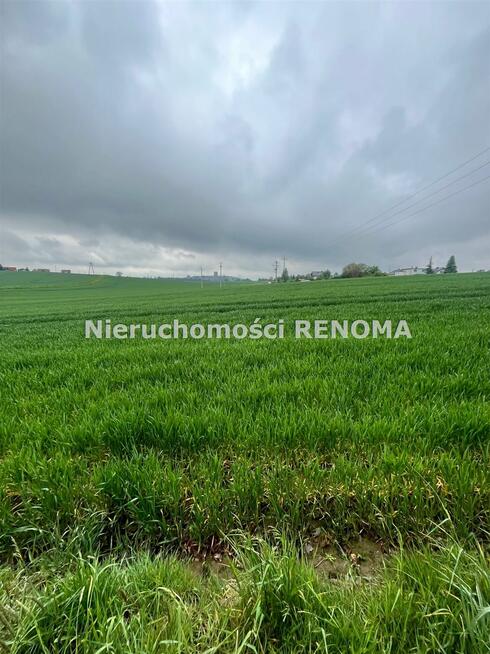 Działka Jastrzębie-Zdrój Borynia, Plebiscytowa