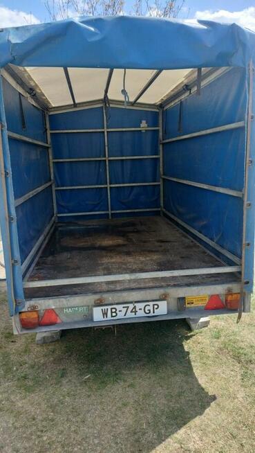 Przyczepa samochodowa dwuosiowa Hapert z plandeką Holandia