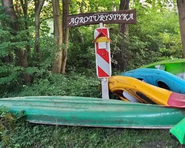 Pole naniotowe - Spływy kajakowe rzeką Wel - Agroturystyka