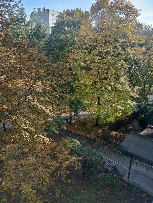 Bezpośrednio Sady Żoliborz 2 Pokoje 3 Piętro Piwnica Balkon