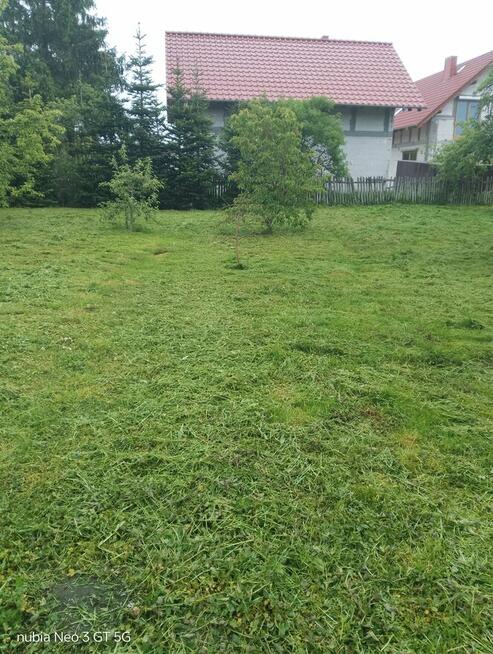 Koszenie Trawy i Zarośli – Gorzów i Okolice