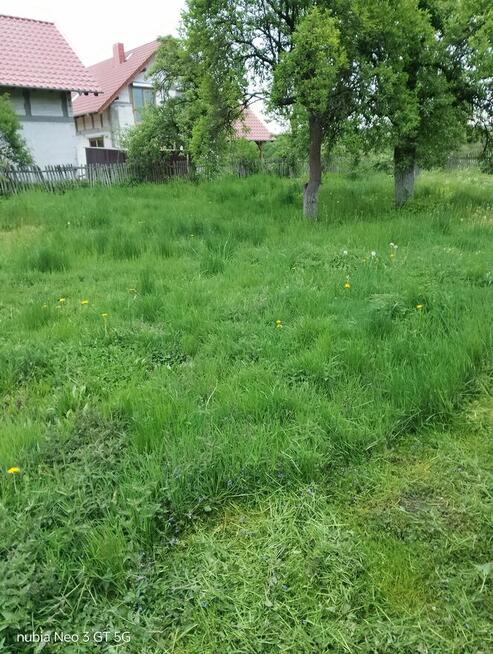 Koszenie Trawy i Zarośli – Gorzów i Okolice