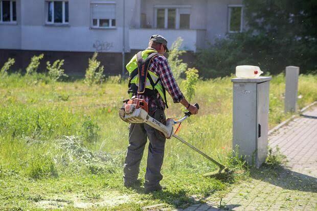 Koszenie trawy usługi ogrodnicze