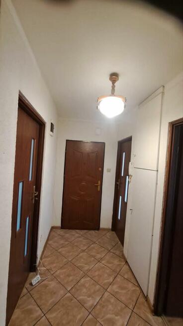 Mieszkanie 47m² - Międzyrzecz, bez pośrednika