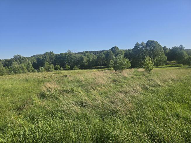 Działka budowlana Kajetanów gm. Zagnańsk