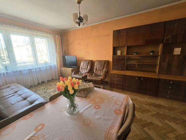 Mieszkanie Kielce Jagiellońskie, Urzędnicza
