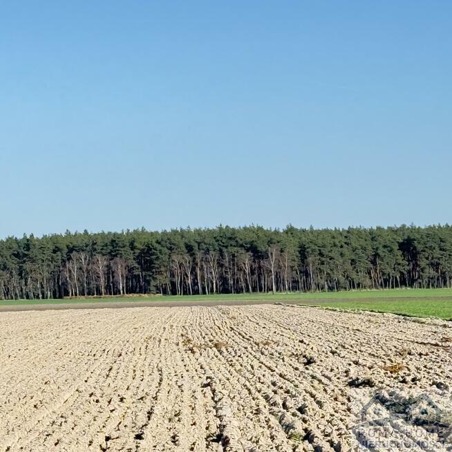 Działka budowlana Żabno gm. Brodnica