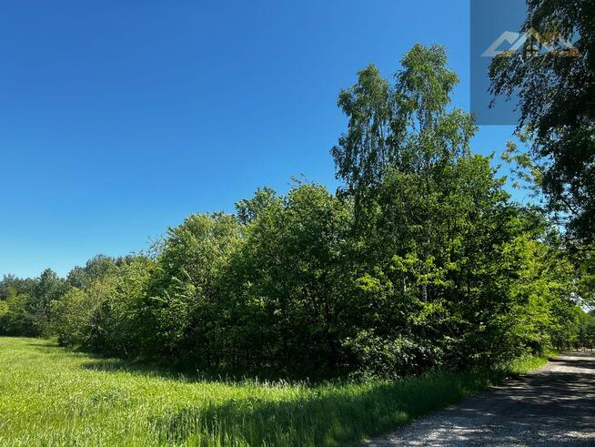 Działka rolno-budowlana Biadoliny Radłowskie gm. Wojnicz