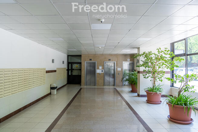 Dwupokojowe mieszkanie I 39 m2 I Centrum