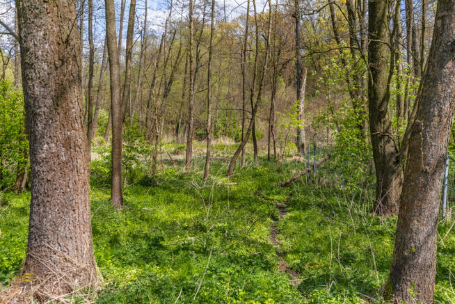 Działka budowlana Motycz gm. Konopnica,