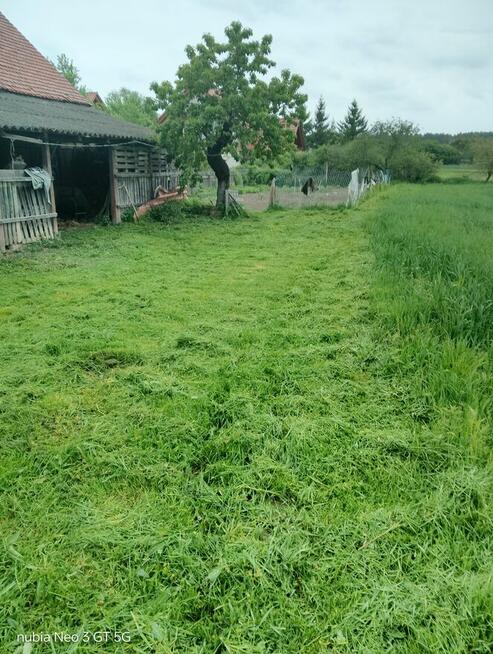 Koszenie Trawy i Zarośli – Gorzów i Okolice