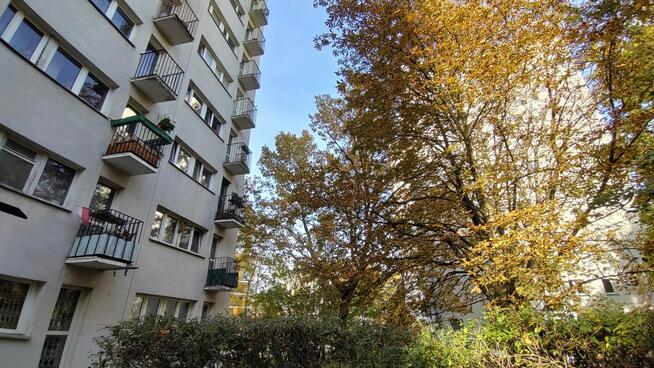 Bezpośrednio Sady Żoliborz 2 Pokoje 3 Piętro Piwnica Balkon