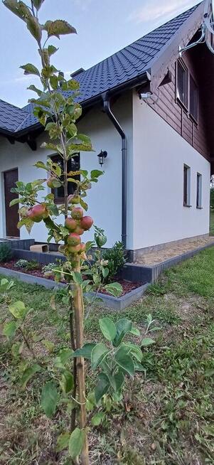Nowy dom nad jeziorem przy lesie, 45 minut nad morze
