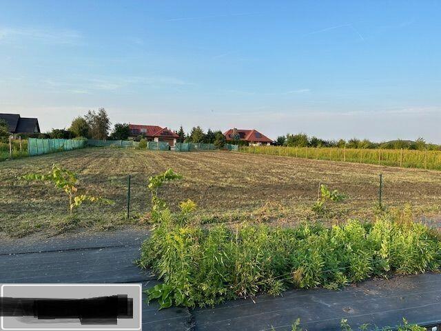 Działka budowlana (3000 m2) MEDIA (Żórawina)
