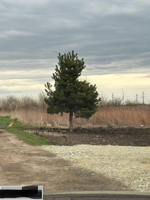 Działka budowlana (3000 m2) MEDIA (Żórawina)