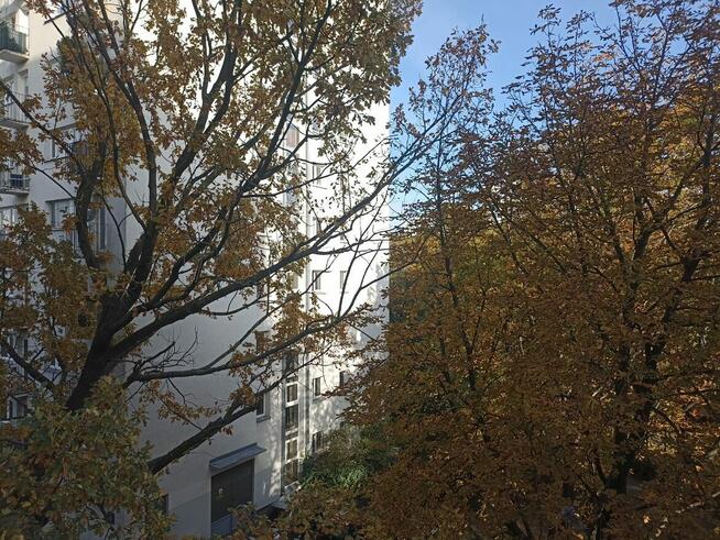 Bezpośrednio Sady Żoliborz 2 Pokoje 3 Piętro Piwnica Balkon