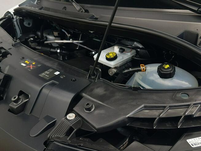 Opel Movano MASTER L2H2 CHŁODNIA AGREGAT ZANOTTI IZOTERMA DŁUGI WYSOKI KLIMA