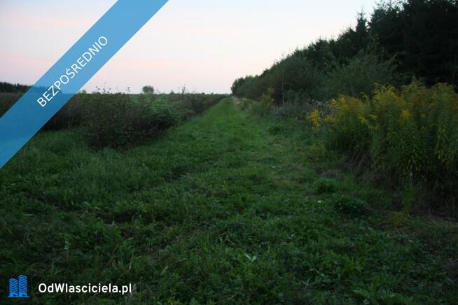 Działka 2.46 ha k. Mszczonowa z warunkami na bud. mieszkalny