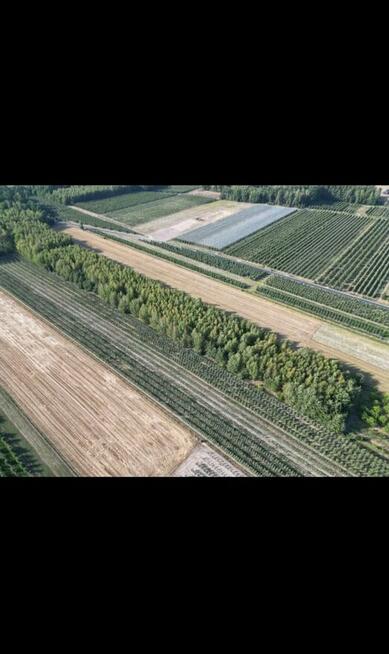 Sprzedam dwie działki w pakiecie, po 3000 m2 każda Piekut