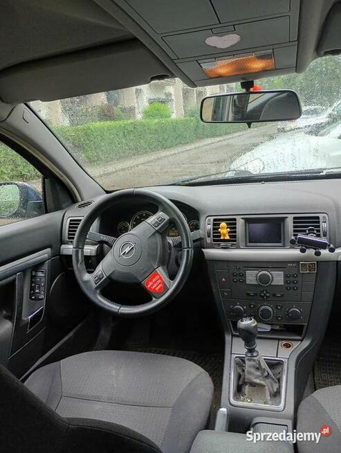 Opel signum 2005r