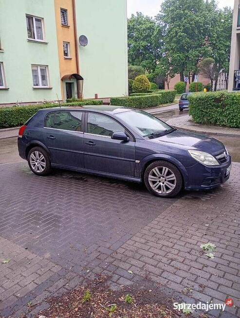 Opel signum 2005r