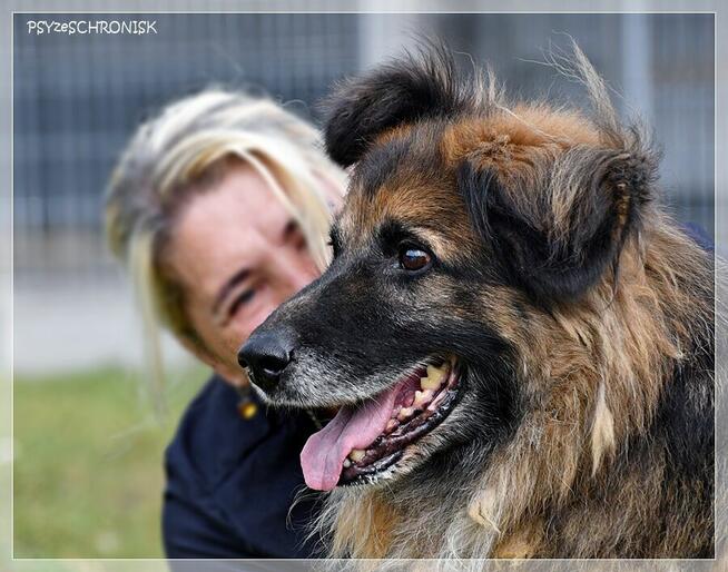 Sancho – przy człowieku młodnieje w każdej sekundzie