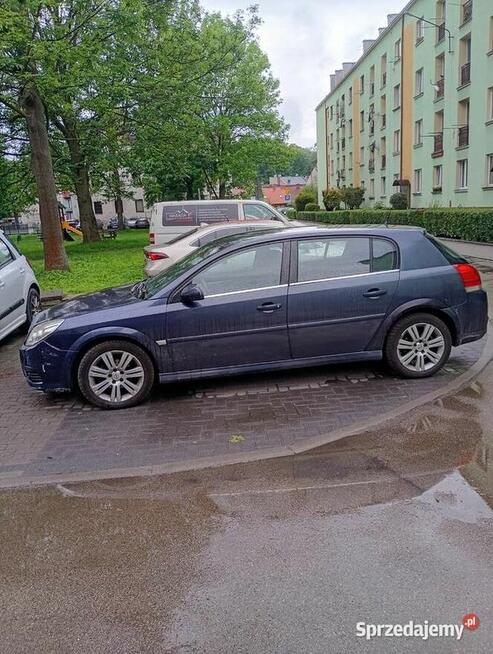 Opel signum 2005r