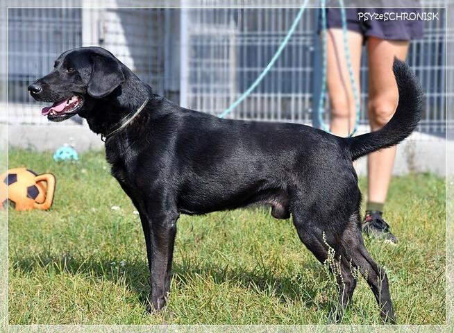 Magik – chce być blisko, poznawać świat, nie zniknąć