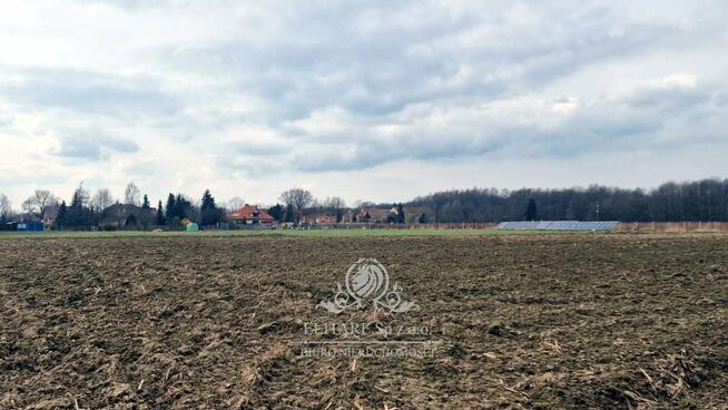 Działka siedliskowa 3000m2 z MPZP gm. Kąty Wrocławskie, Sokolniki