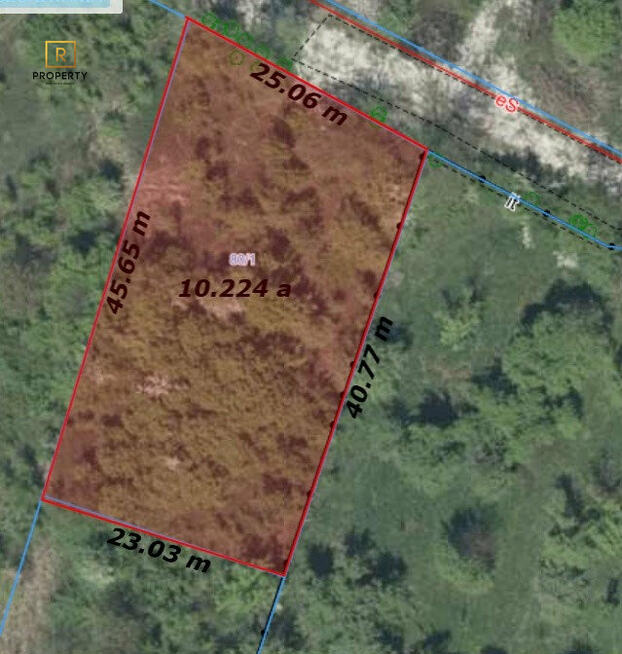 1015 m2| w spokojnej okolicy blisko centrum
