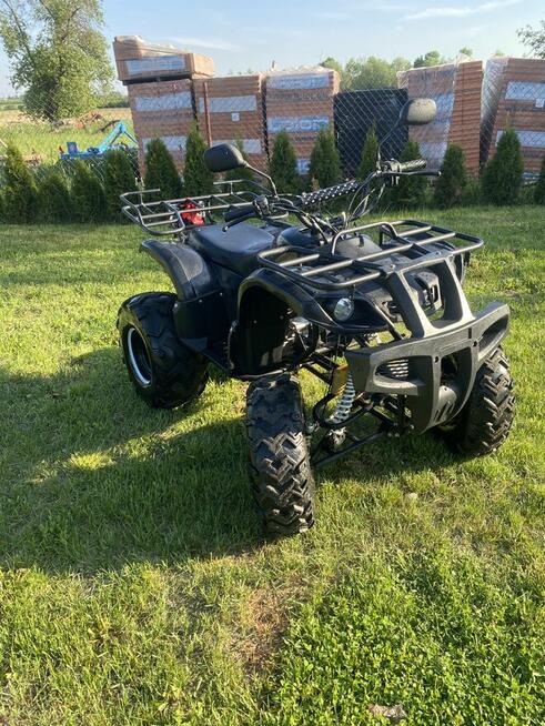 Sprzedam Qada Bashan 250