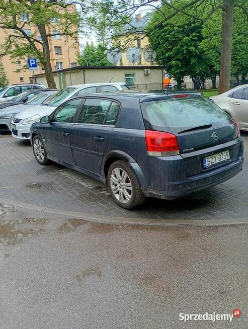 Opel signum 2005r