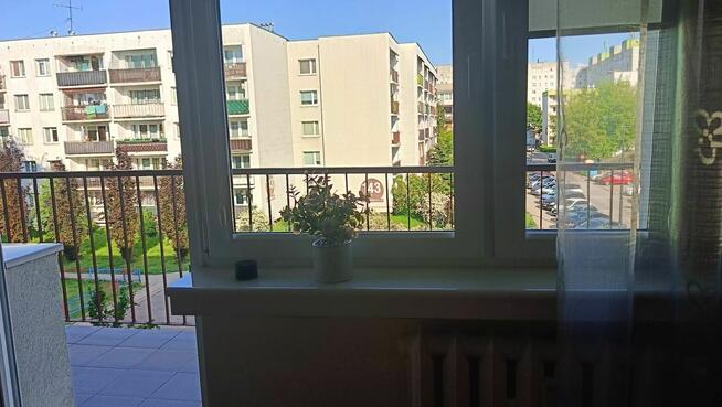 Mieszkanie na wynajem Łódź Olechów