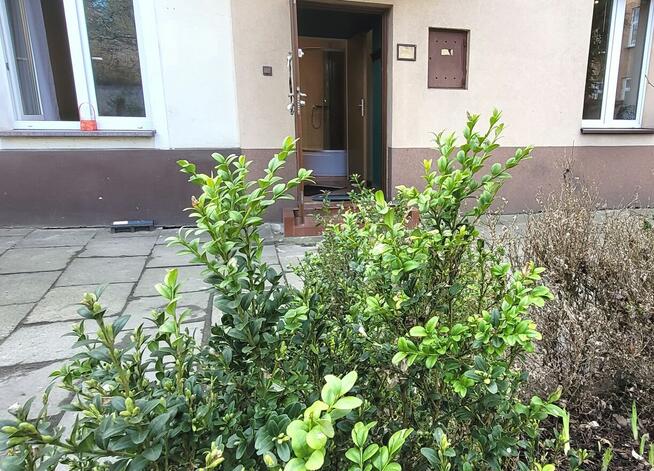 3 w 1 Stare Miasto 2 mieszkanie pokojowe – ul. Batorego
