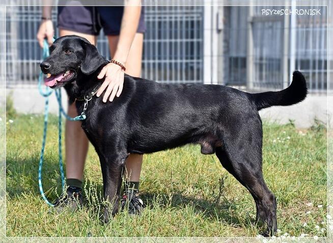 Magik – chce być blisko, poznawać świat, nie zniknąć