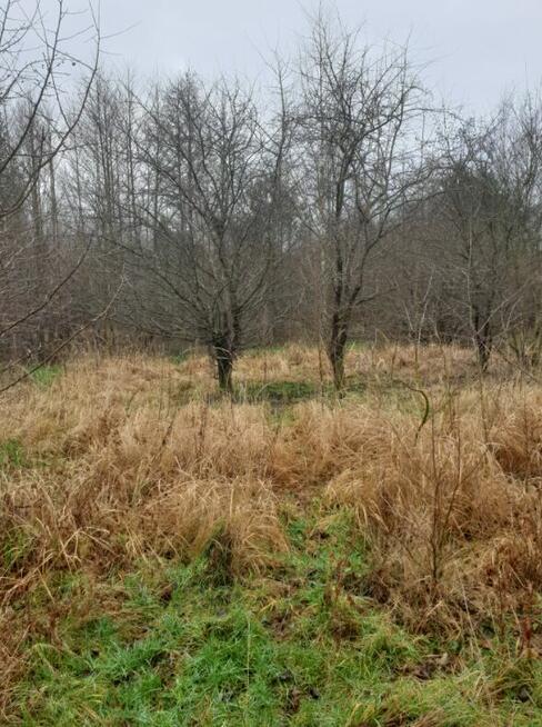 Działki budowlane 6,75 ha NAD MORZEM Ustka Słupsk Działka in