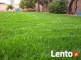 TRAWNIKI**SYSTEMY NAWADNIAJĄCE**USŁUGI OGRODNICZE**OGRODY