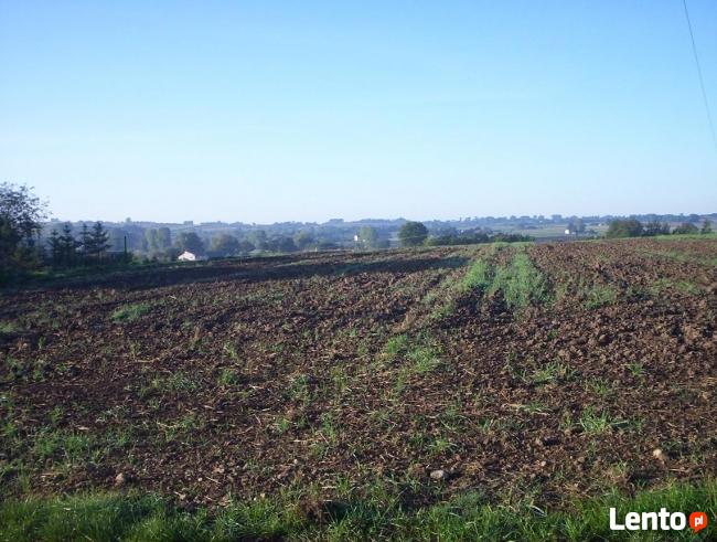 Działka rolno-budowlana Kazimierza Wielka / Odonów.125 arów
