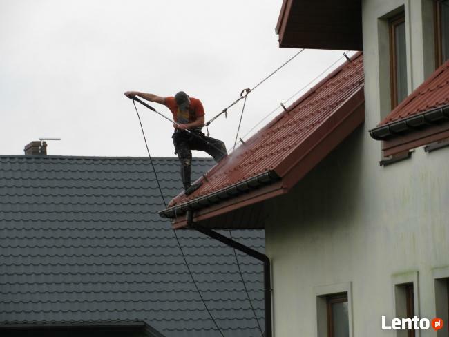 usuwanie glonów z dachów