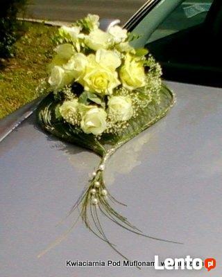 Florystyka ślubna, dekoracja samochodów-Wałbrzych i okolice